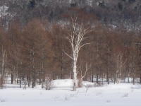 ���ꂪ,�M�w�l